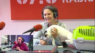 10 anys d&rsquo;Engrescades: Instal·lacions danyades i despeses veterinàries rècord