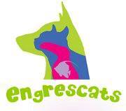 SECCIÓ DE LES ENGRESCADES 26 10 2018