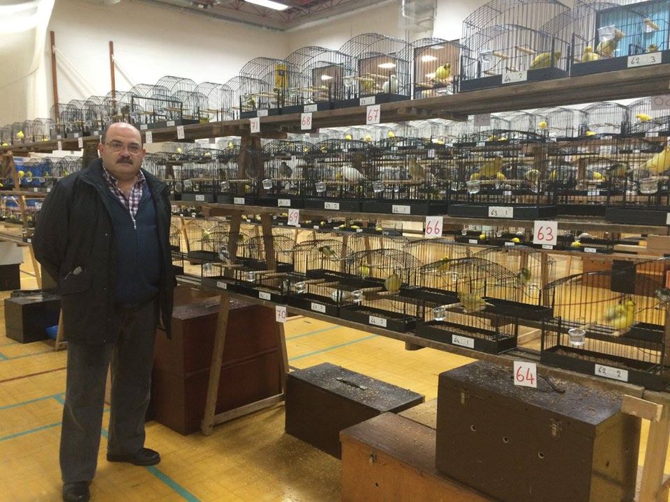 ENTREVISTA A ENRIQUE SERRET, GUANYADOR DEL CAMPIONAT MUNDIAL DE "Fife Fancy Lipocrom"