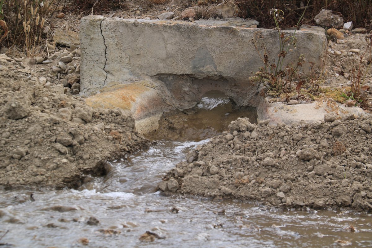 La CHE declara l’excepcionalitat a la unitat del Baix Ebre i podria reduir encara més la concessió dels canals del Delta