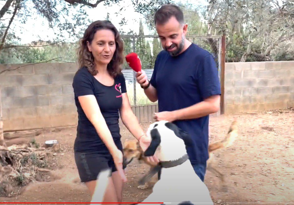 Jordi Galo va IN SITU a la PROTECTORA D’ANIMALS DE LES ENGRESCADES