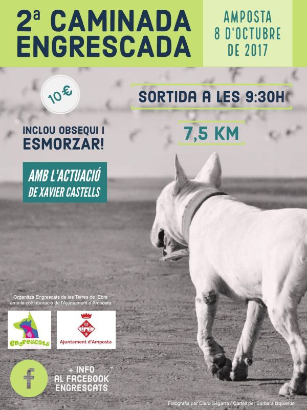 ENTREVISTA A LES ENGRESCADES: II CAMINADA ENGRESCADA