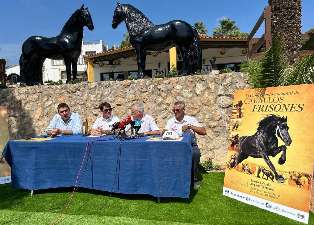 Amposta recupera el Campionat Nacional de Cavalls de Pura Raça Frisó