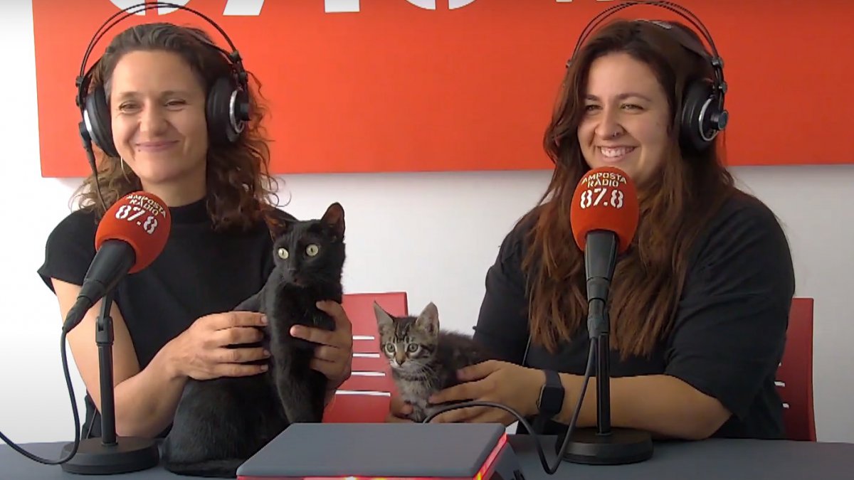 Les @proteengrescats ens pressenten a MOSSA i ESQUADRA ( mare i filla ) per adoptar...