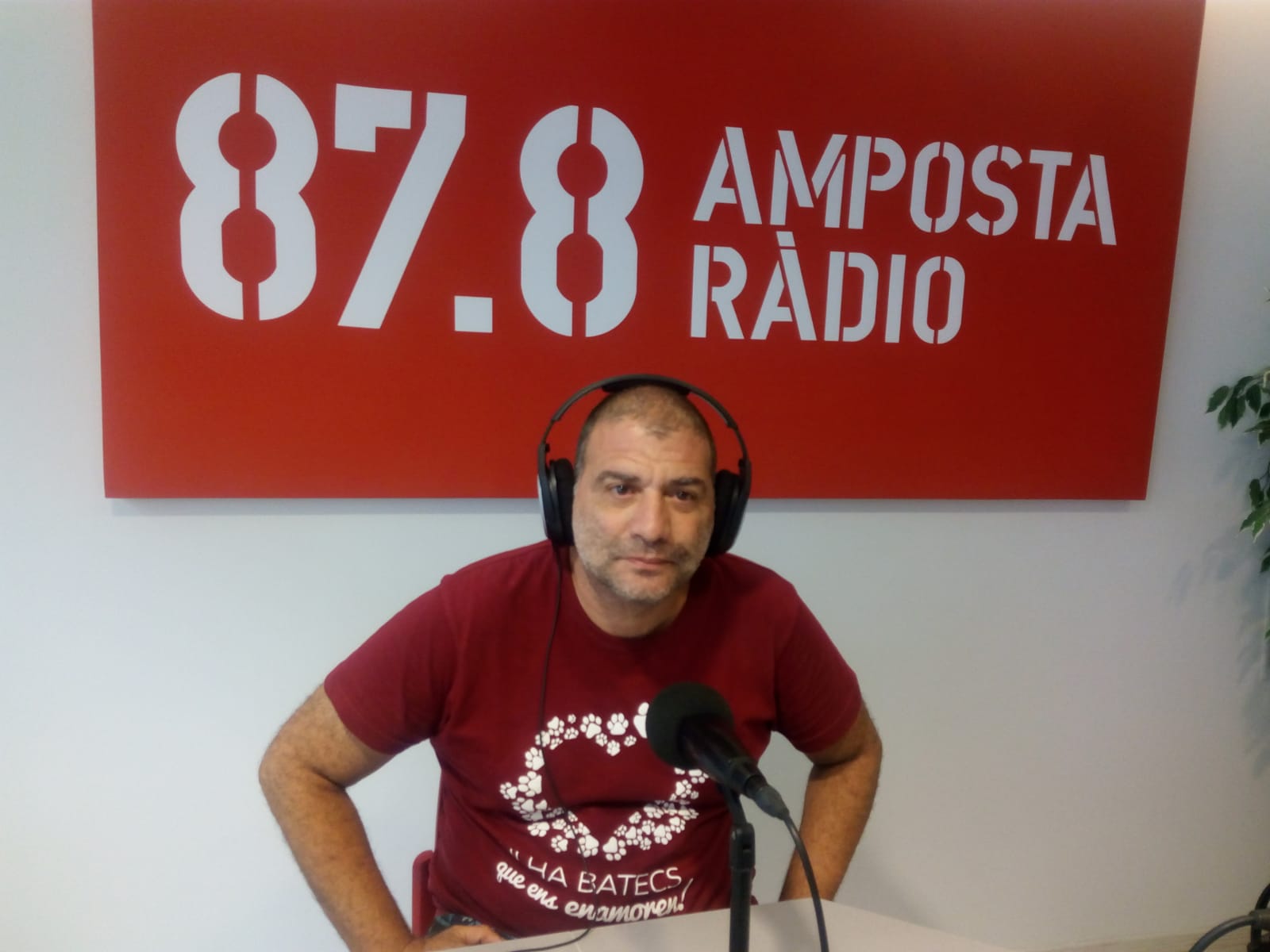 ENTREVISTA A JORDI ALONSO, ORGANITZADOR DEL FESTIVAL LIBELULA