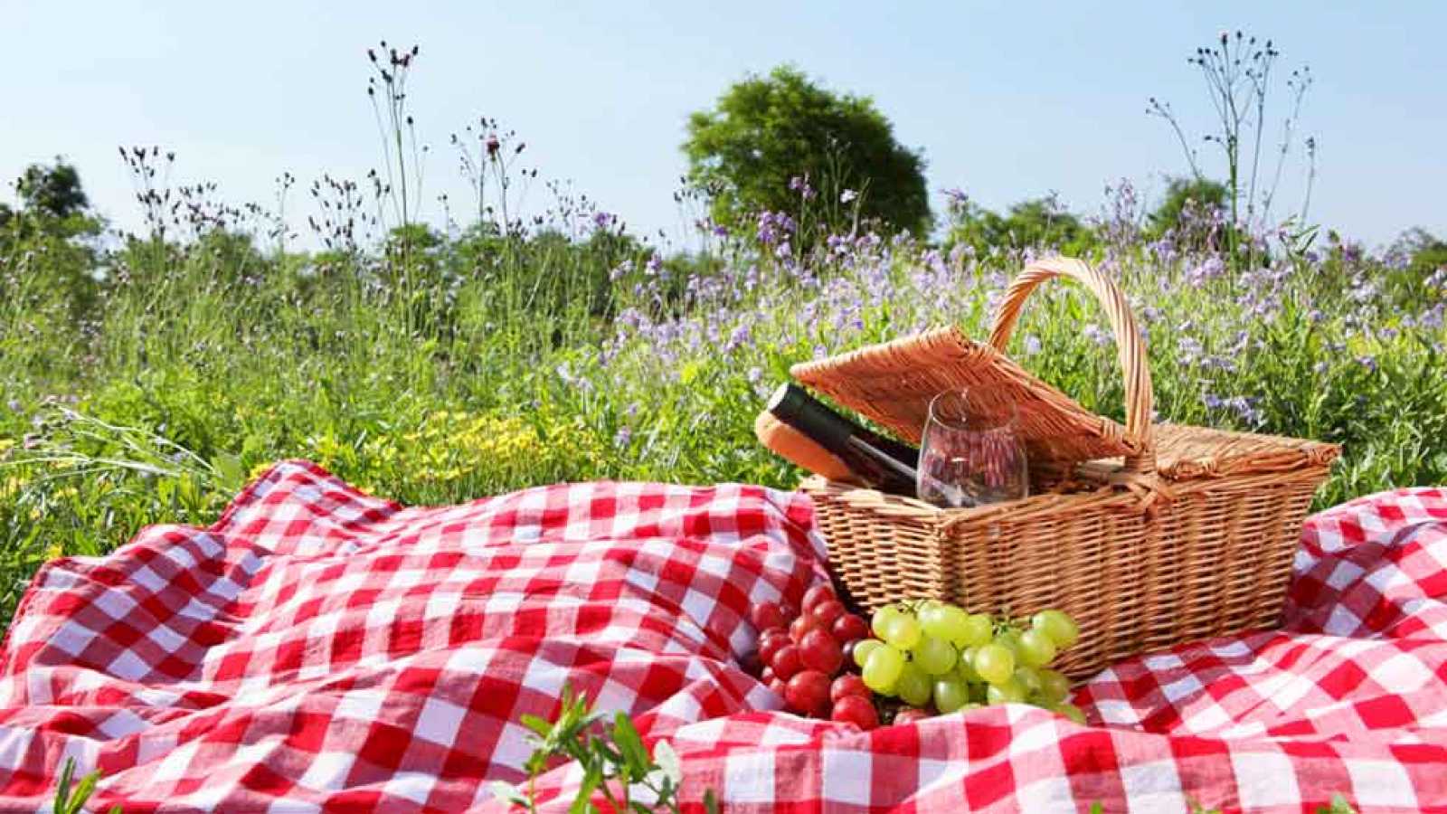 ORGANIC A EN CONSTRUCCIÓ: LA DIETA A LA PRIMAVERA