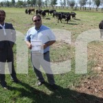 L´apicultura i la tauromàquia ebrenca s´uneixen per ensenyar en origen "l´essència" del delta de l´Ebre