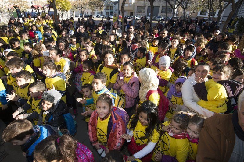 Manifestació a Amposta en defensa de  P3
