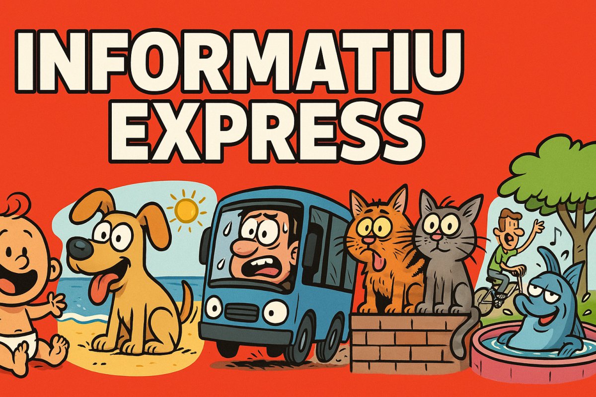 INFORMATIU EXPRESS | Criatures, gossos a la platja i tonyines XXL! 🐶🌊🐟