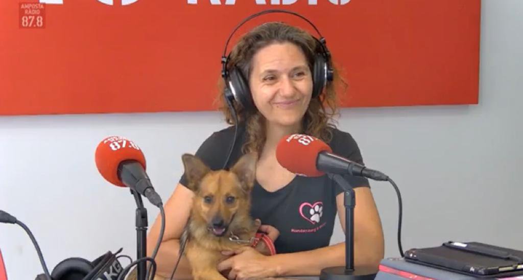 Les engrescades ens presenten a Jack!! Busca familia i carinyo