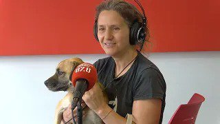MAX: Un gos amb cara de gos... i un cor gegant!