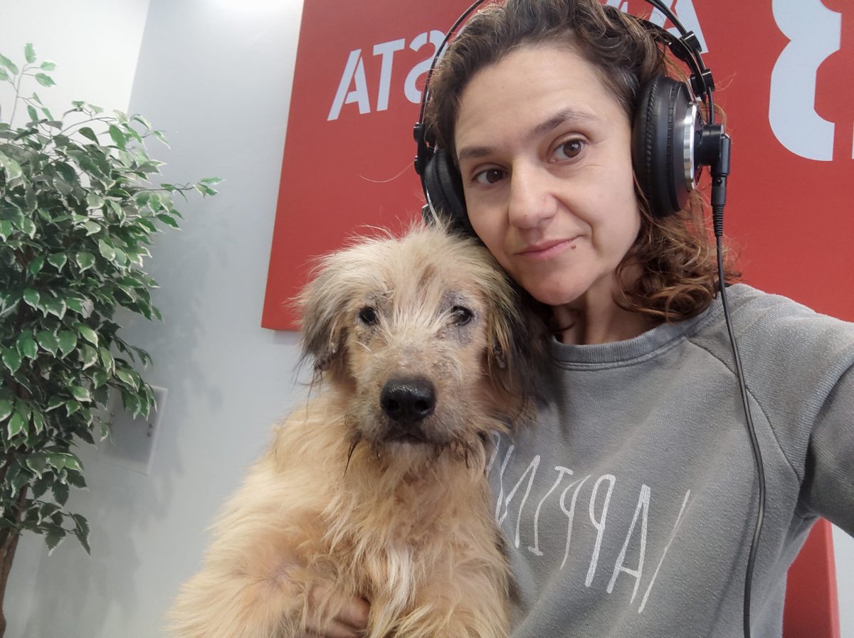 Engrescades a En Construcció: Petete, un gos que el curarem!