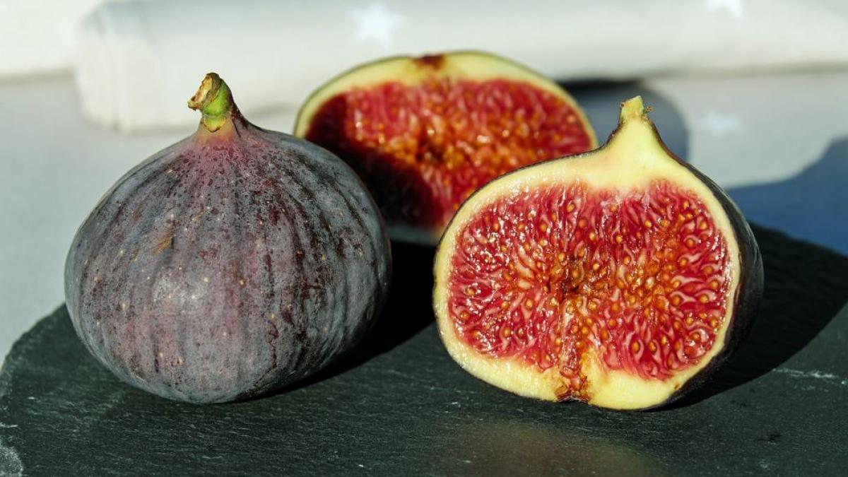 ORGANIC A EN CONSTRUCCIÓ: LA FIGA