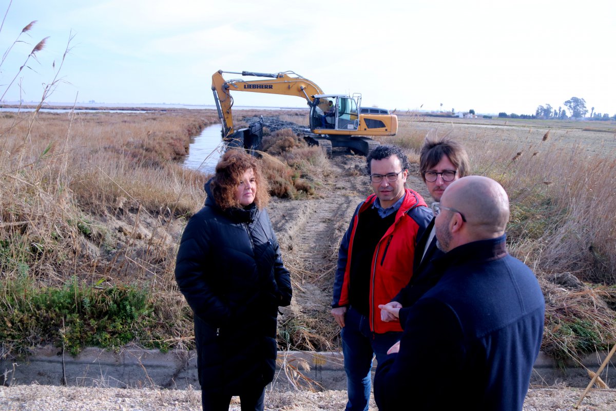 Aixequen i reforcen les guardes de les llacunes del delta de l’Ebre per evitar l’entrada d’aigua marina als arrossars