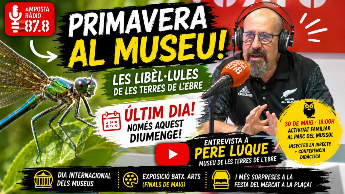 Última oportunitat per veure les libèl·lules al Museu! Última oportunitat per veure les libèl·lules al Museu!