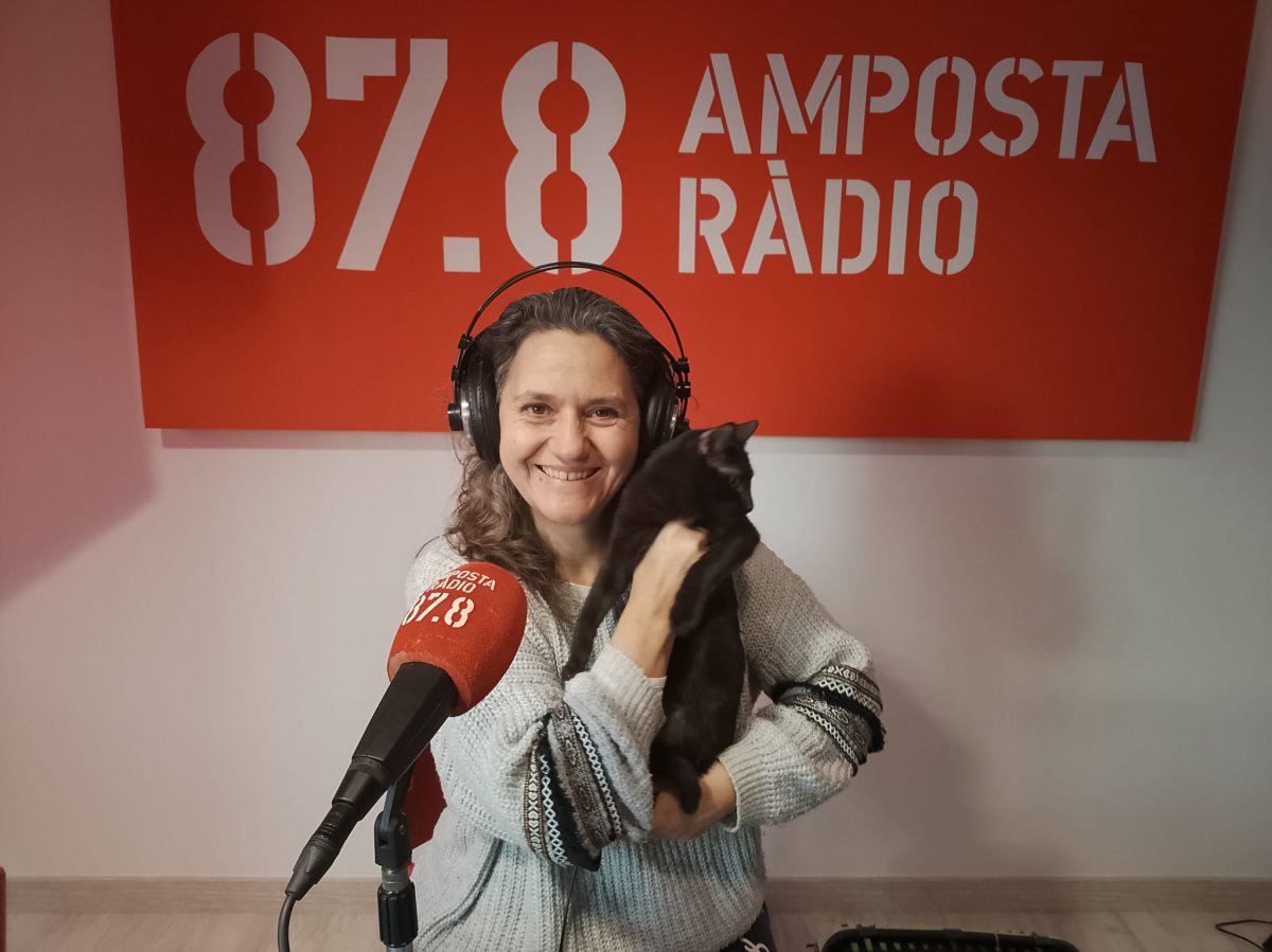 Dues gatetes a l&rsquo;estudi d&rsquo;Amposta Ràdio: Tuberia ja adoptada i la Nuca busca llar