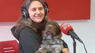 SOS al Castell d&rsquo;Amposta: Per què necessitem que estigueu atents amb els mòbils?