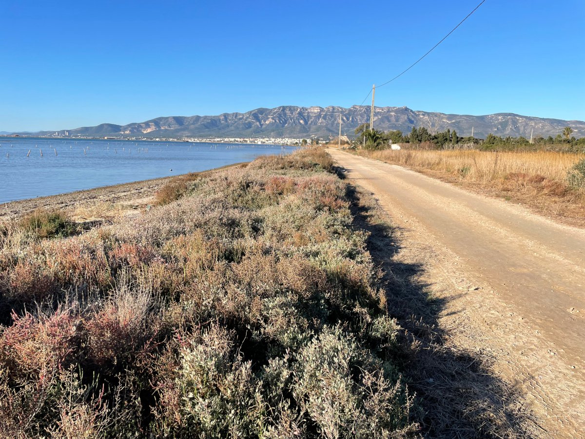 Liciten la redacció de la tercera fase del projecte de la guarda de protecció de la badia dels Alfacs