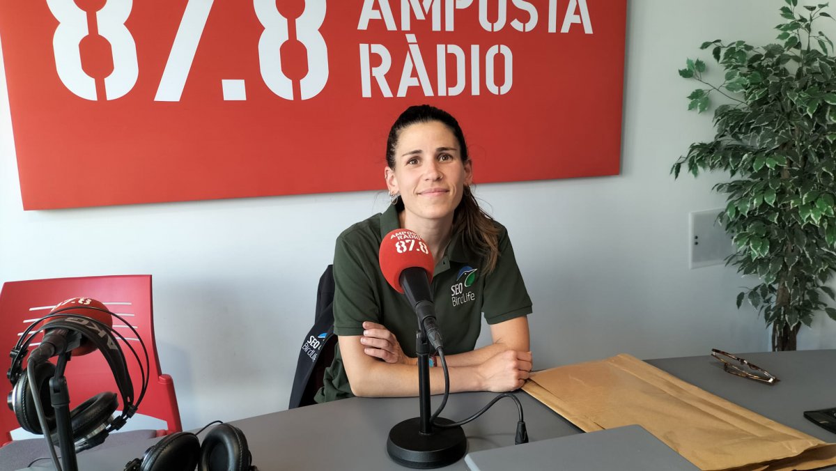 Entrevsita a Irene Garcia, tècnica de Seo Birdlife 22 5 2025
