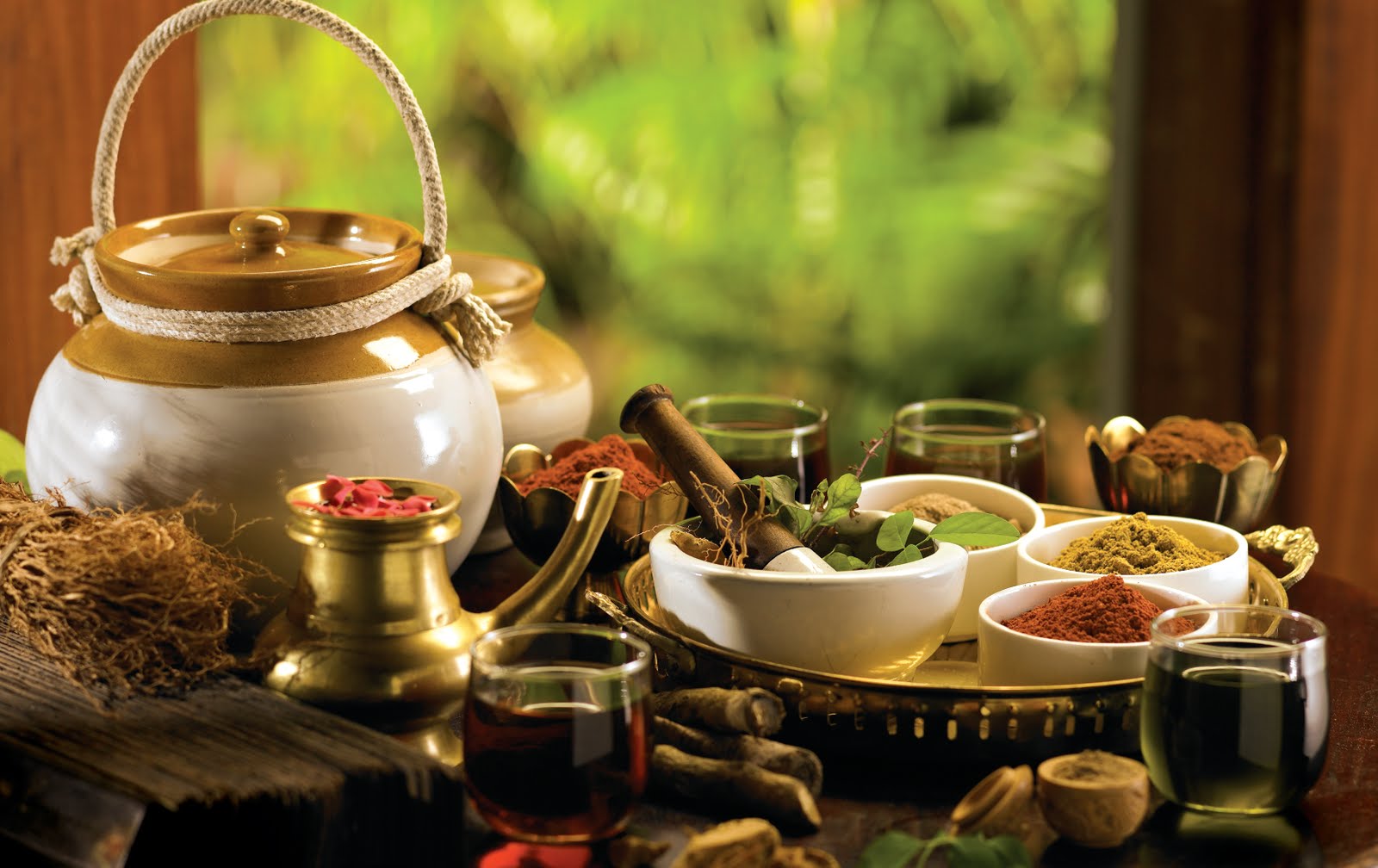 SECCIÓ SILVIA FORCADELL:  AYURVEDA