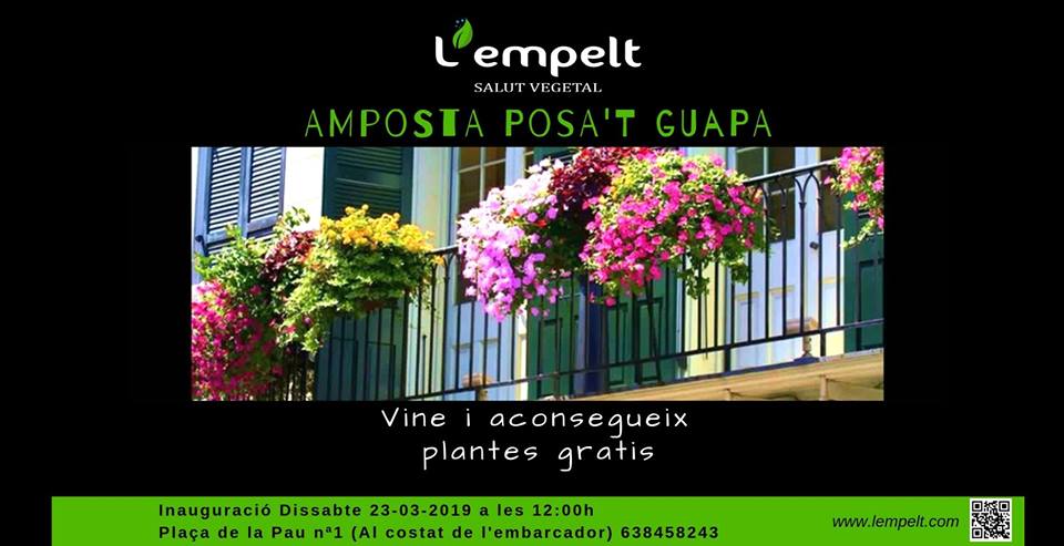 ENTREVISTA ALS RESPONSABLES DE L’EMPELT: VOLEM VEURE ELS BALCONS D’AMPOSTA AMB FLORS