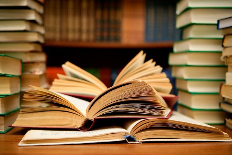 LITERATURA EN CONSTRUCCIÓ: EL DRET DEL LECTOR