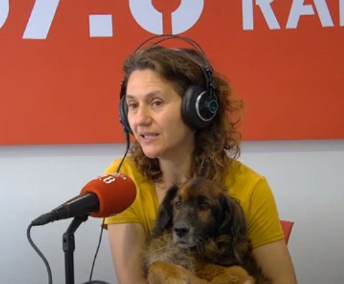 ENGRESCATS ens presenten a PATRICIO, un gos de 13 anys!