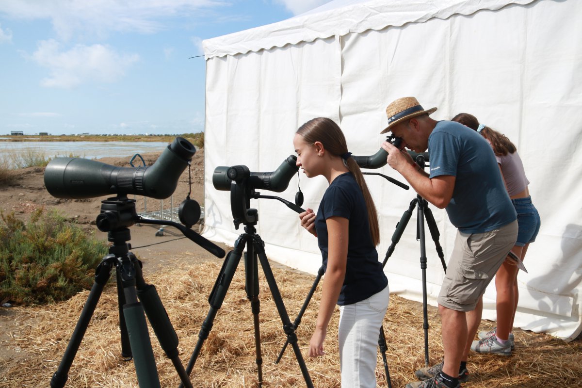 El Delta Birding Festival es consolida com un referent internacional de l’ornitologia en la desena edició