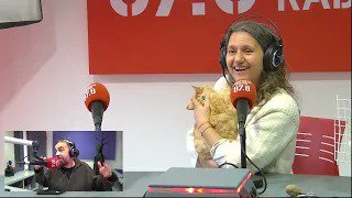 LES ENGRESCADES: L&rsquo;èxit de la Frida , el rescat al Polígon de l&rsquo;Oriola i coneixem al Luca 🐱