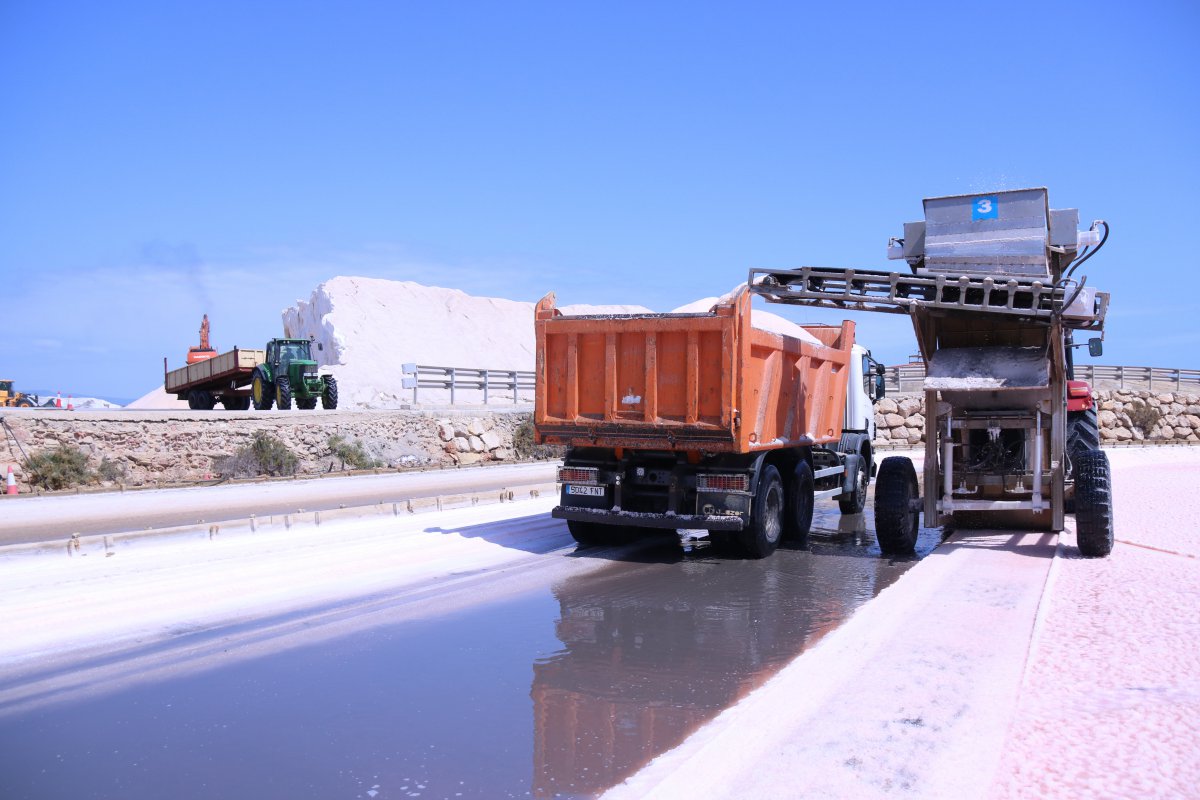 La sequera beneficia la collita de sal del delta de l’Ebre, que podria arribar a les 120.000 tones