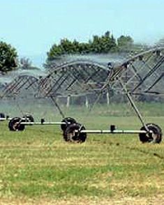 Agricultura resol favorablement una primera part d´ajuts a la millora de la competitivitat de les explotacions agràries per 14,14 milions d´euros