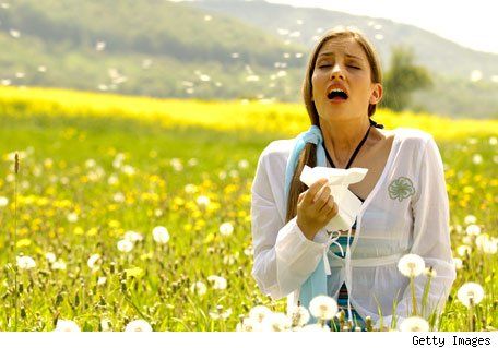 ORGANIC 25 04 2016: AL·LÈRGIA PRIMAVERAL
