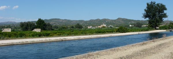 El sector arrossaire inicia la inundació dels camps del delta de l´Ebre amb la vista posada en el caragol maçana