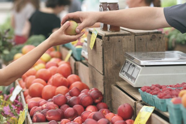 L’Ajuntament d’Amposta i Càritas, Creu Roja i Siloé incrementen el suport a les famílies per garantir el dret a l’alimentació