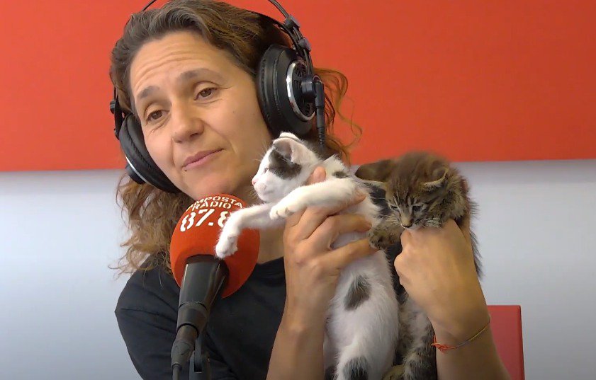 Les Engrescades ens presenten a 2 GATETS petitets, que BUSQUEN FAMILIA