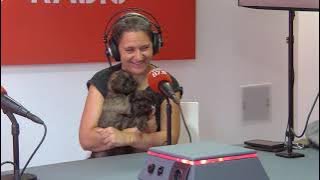 Nil i Vanili busquen família + homenatge a Vicent | Les Engrescades – Protectora d’Amposta