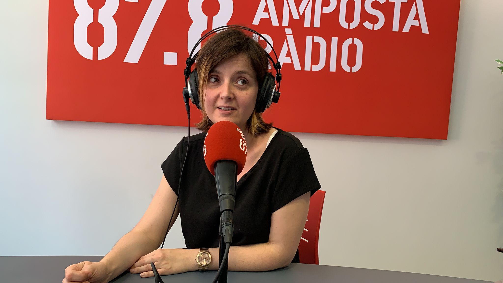 Amposta Ciutat Diversa: El periodisme 