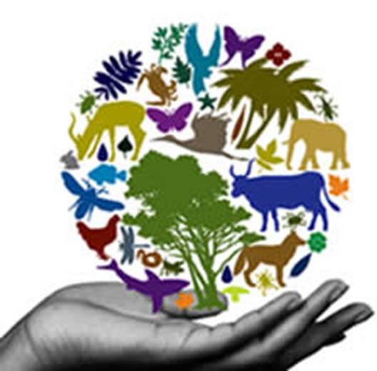 BIODIVERSITAT: AGRICULTURA A CATALUNYA