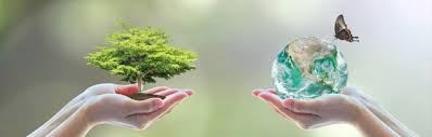 BIODIVERSITAT, Ecoturisme