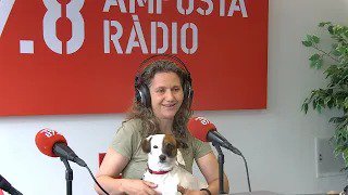 Milo busca família i desfilada d’adopció a Amposta!