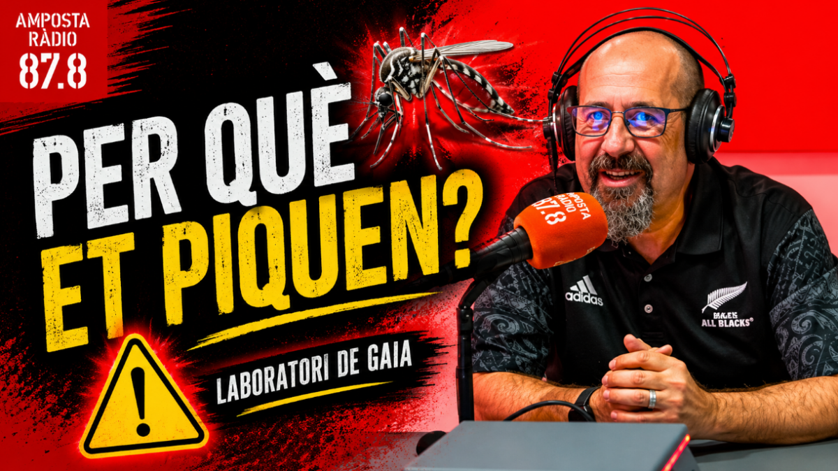 Mosquits, moscues i caparres: Guia de supervivència als "bitxos" de l&rsquo;Ebre