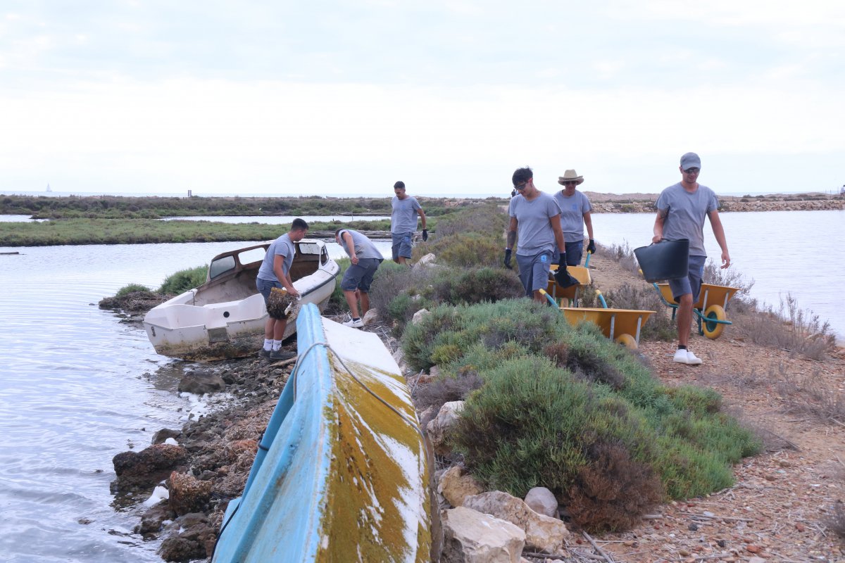 Retiren la brossa marina de les salines de la punta de la Banya