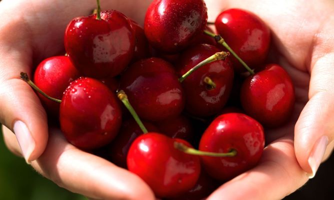 ORGANIC 30 05 2016: Les Cireres