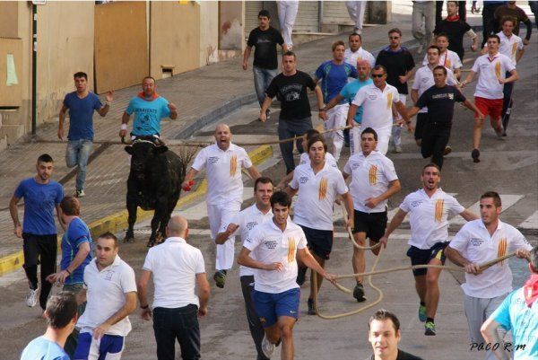 Amposta participa en el Congrès de Bous de Corda