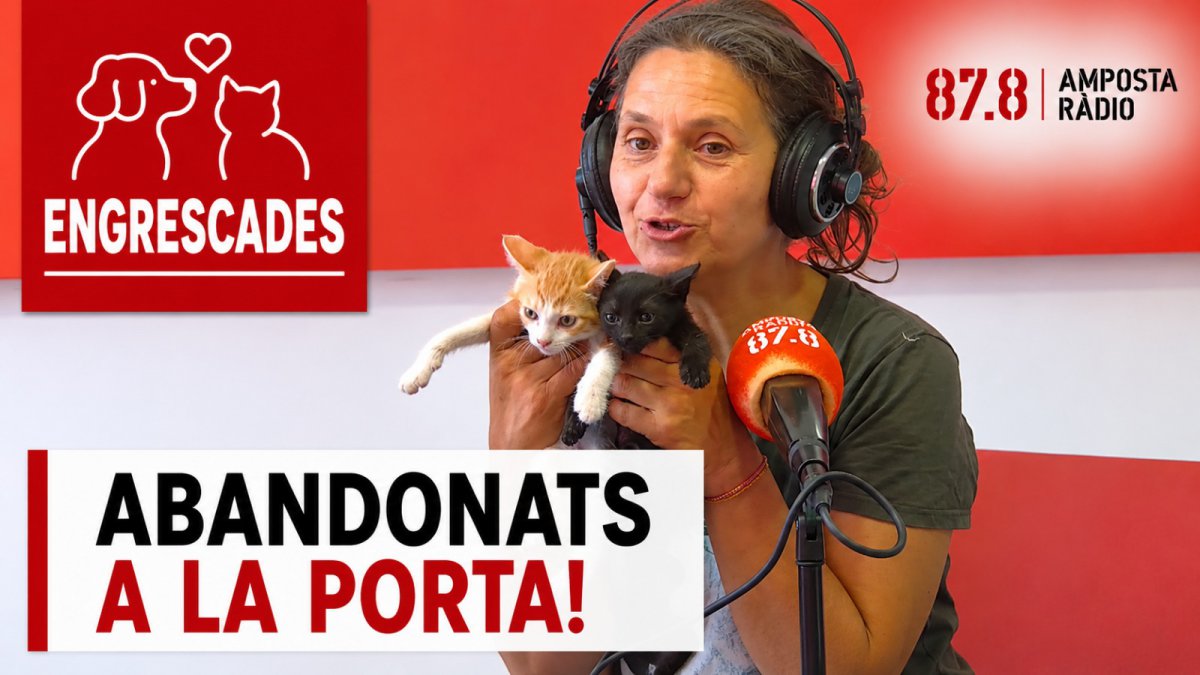 Gatets en contenidors? La dura realitat de l&rsquo;abandonament a Amposta amb Núria Espanya
