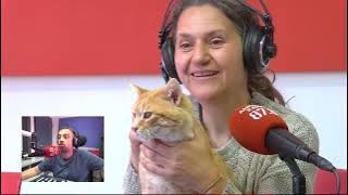 EL GAT MÉS CARINYÓS QUE HEM CONEGUT NO VEU… PERÒ NOMÉS VOL UNA FAMÍLIA