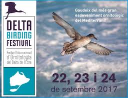Arriba la 4a edició del Delta Birding Festival, l’únic festival d’ornitologia de Catalunya