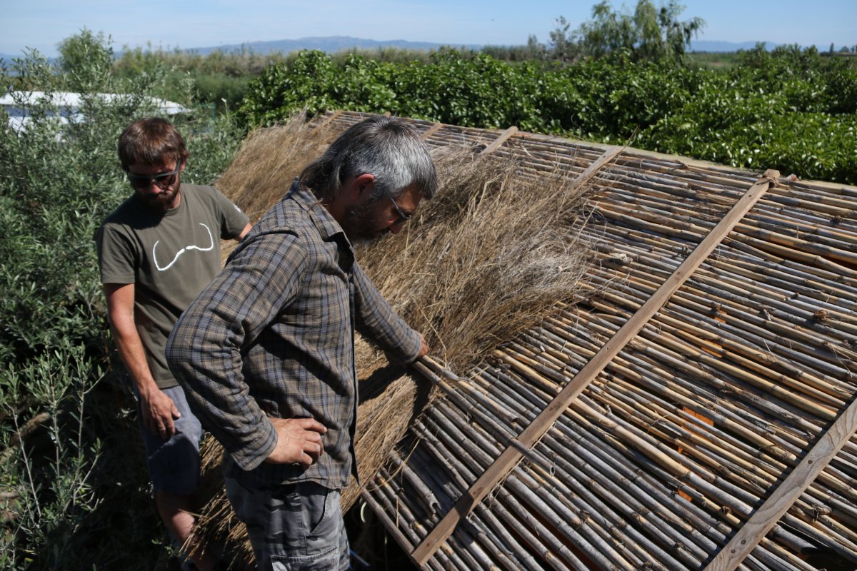 Entre el bagatge ancestral i la tecnologia actual: promouen la recuperació i construcció de barraques al delta de l’Ebre