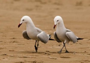 Les Terres de l´Ebre mantenen el ritme lent de creixement de l´ocupació per novè trimestre consecutiu