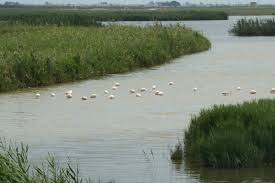 Una estació de bombament que funciona amb energia solar aconsegueix reduir la salinització de l´Encanyissada al Delta